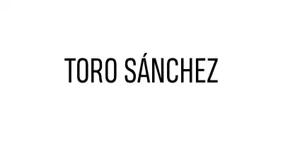 Toro Sánchez Abogados
